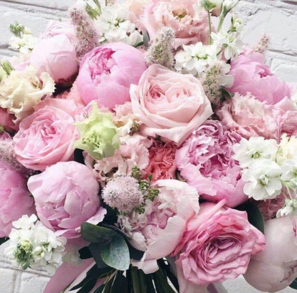 красивые букеты пионов