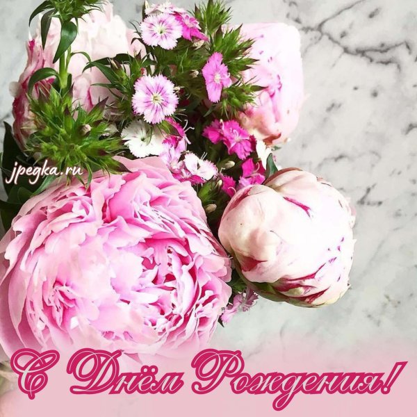 пион розовидный