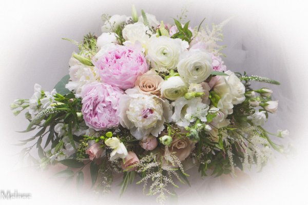 нежные букеты цветов