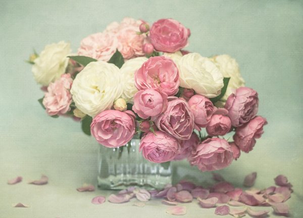 ранункулюс шебби шик