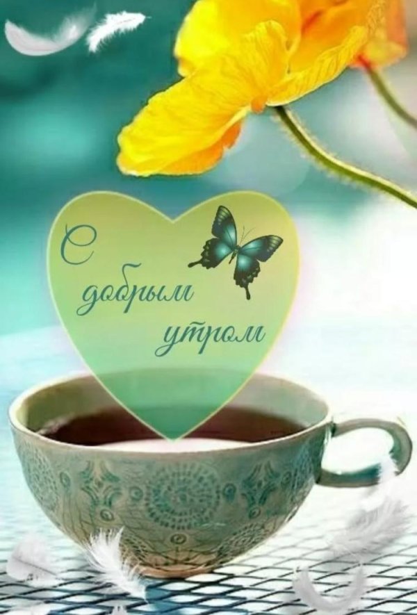 с добрым утром красивые необычные