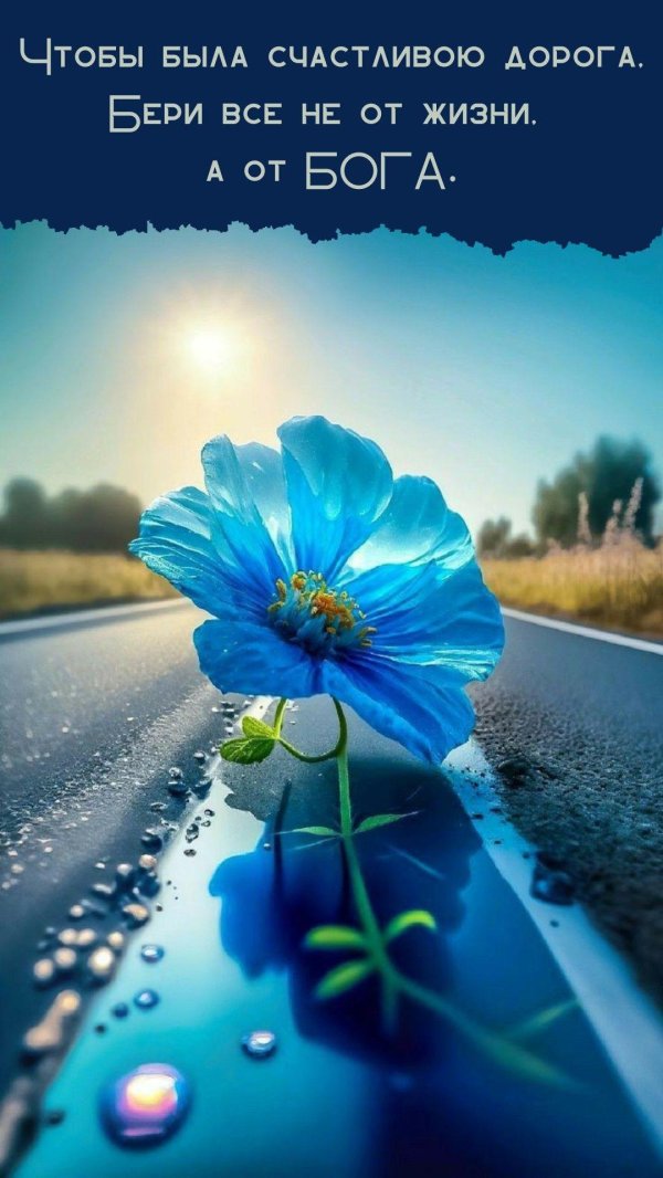 a blue flower