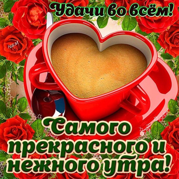 доброе утро любимая и хорошего дня