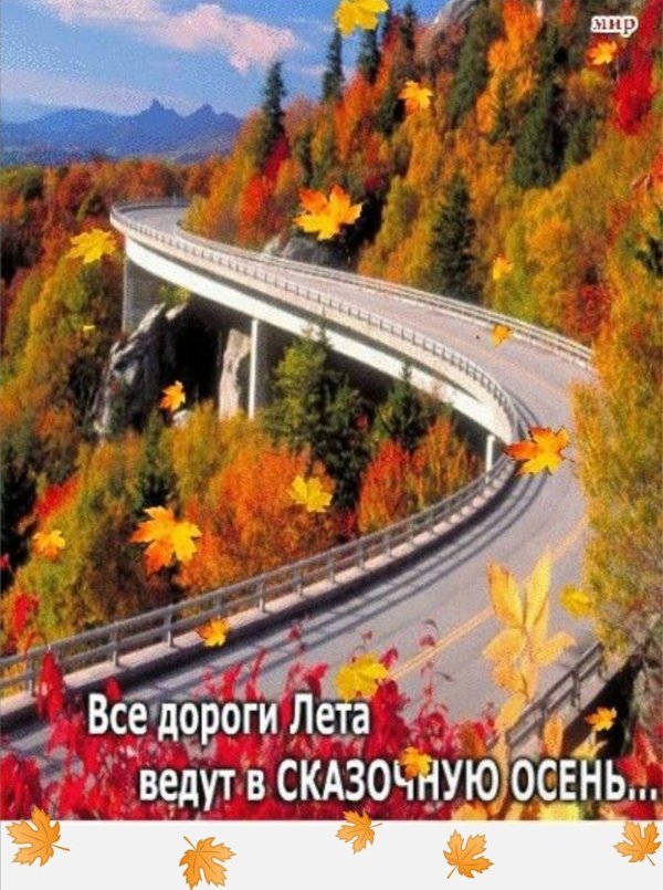 осень мост
