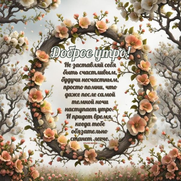 доброе утро краски жизни
