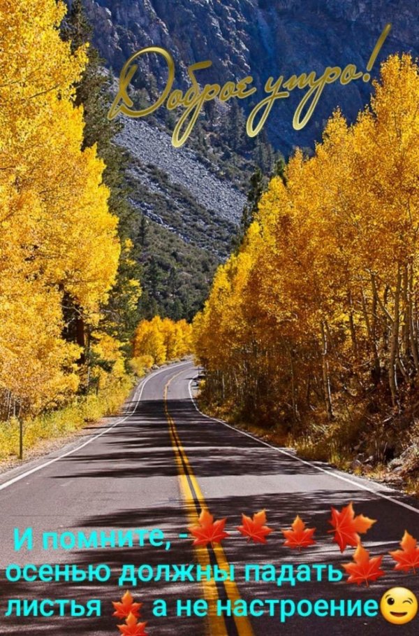 дорога осень