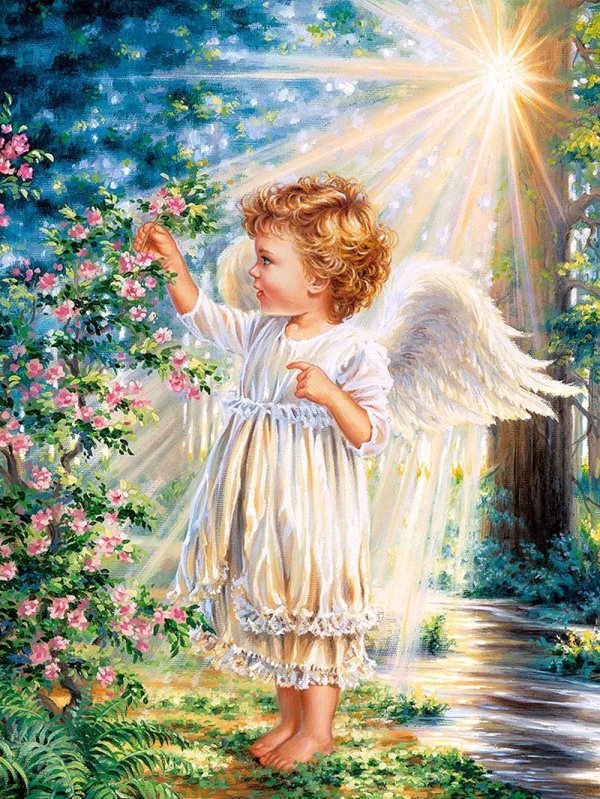 castorland пазл 1000 элемент c103867 прикосновение ангела