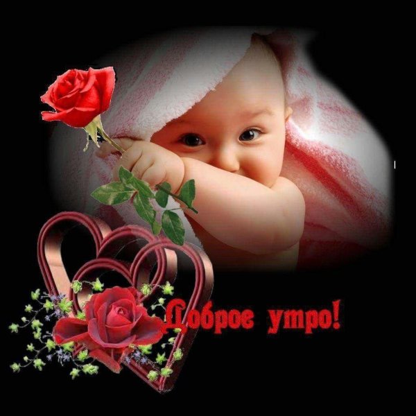 с добрым утром красавица