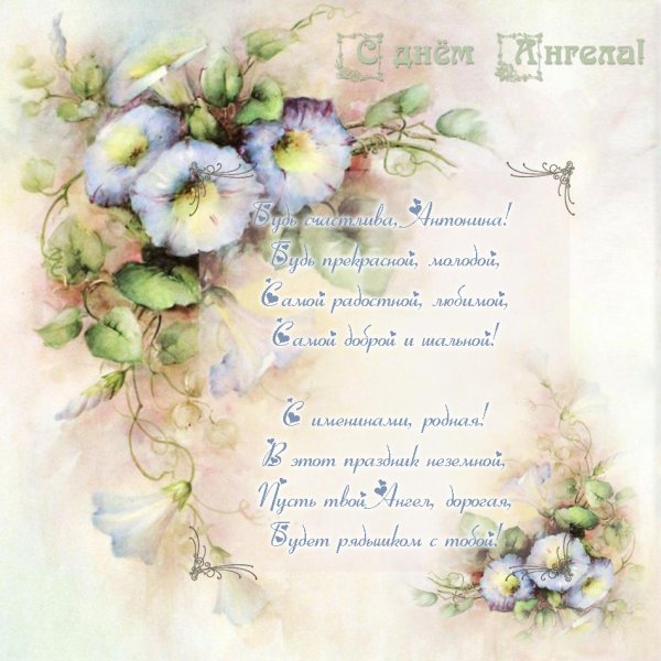 именины антонины