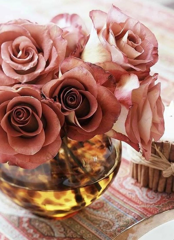 осенние розы