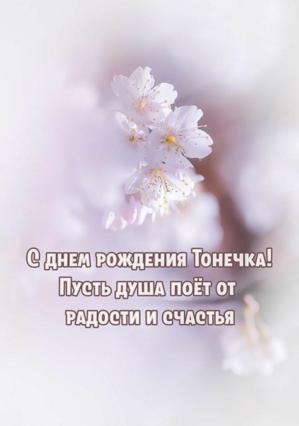 с днём рождения тонечка открытки
