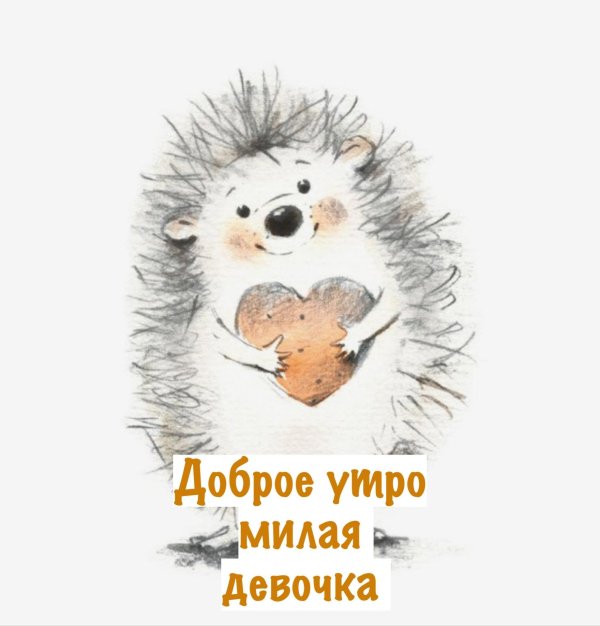 милые ежики рисунки