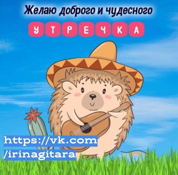 ежик доброе утро
