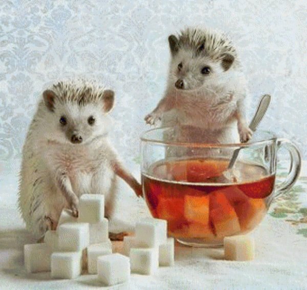 ежик пьет чай