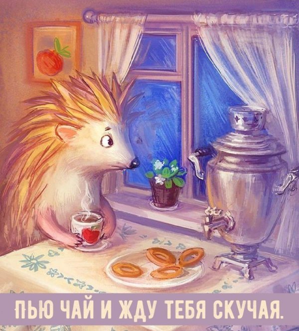 ирина глущенко ежики