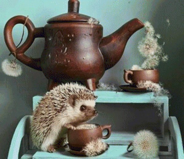 eremina elena ежики