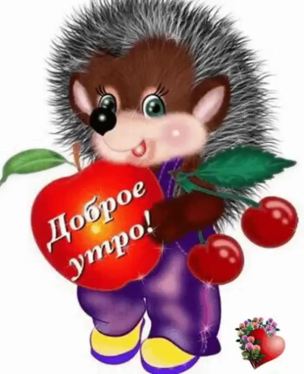 доброе утро еж
