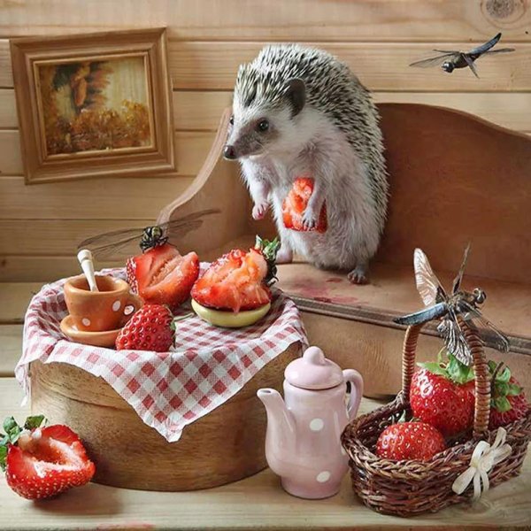 еремина елена тайная жизнь ежиков