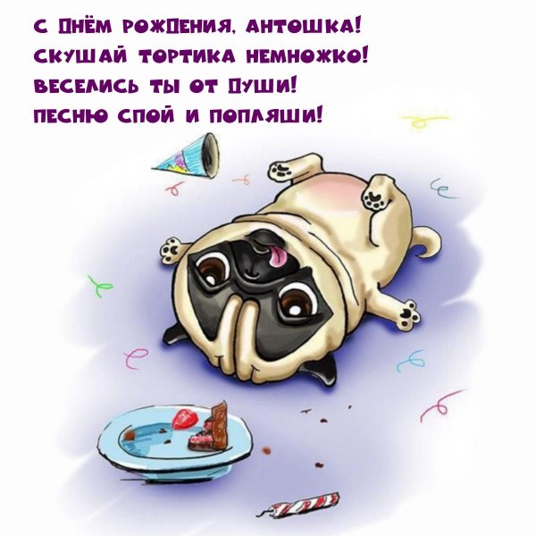 милые мопсы