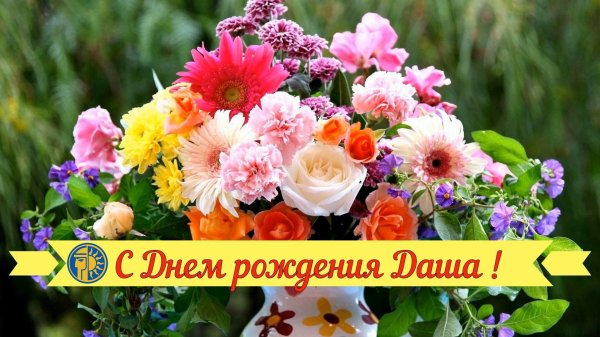 день рождения даша поздравления открытки