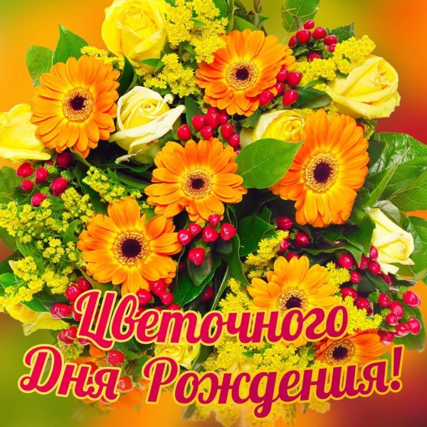 оранжевая гербера