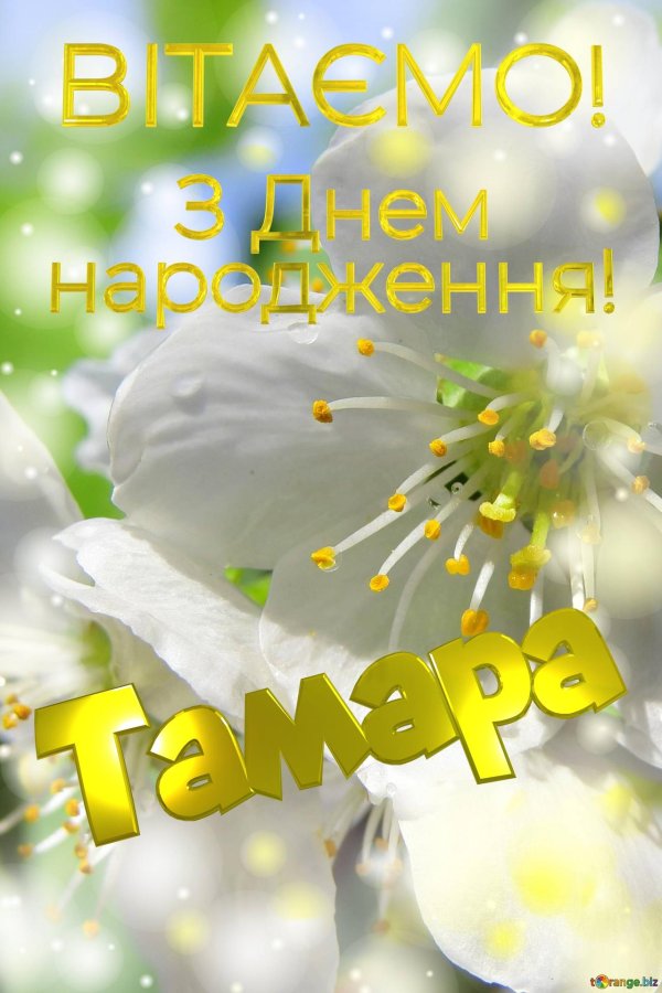 з днем народження