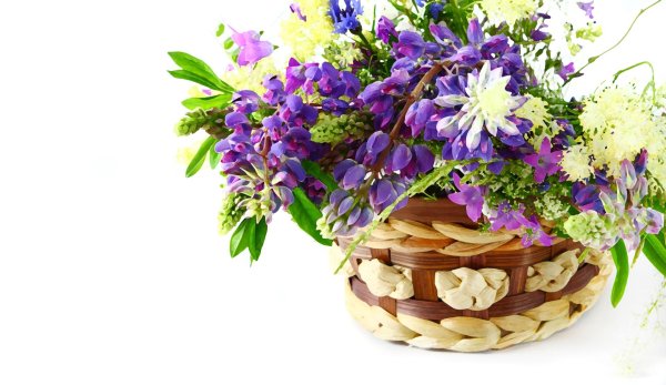 корзинка с цветами