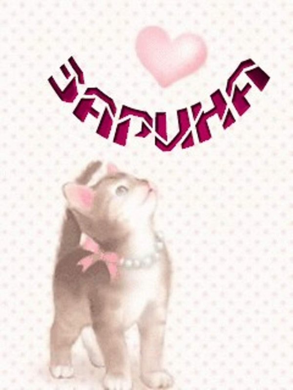 милые котенок