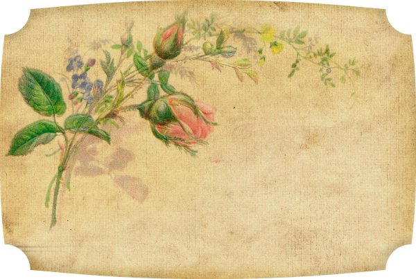 винтажные этикетки