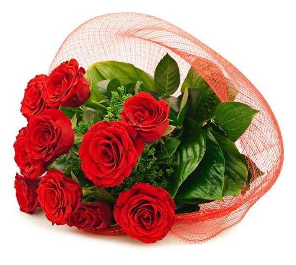 розы разные