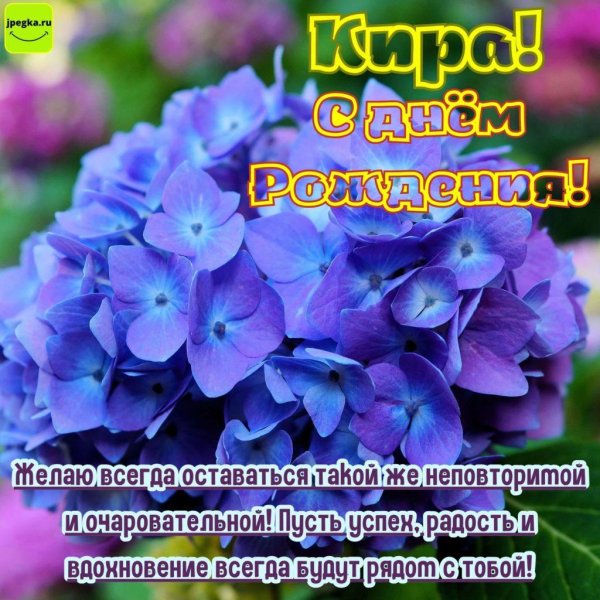 гортензия гидрангея