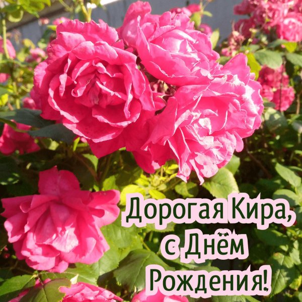 кира с днем рождения