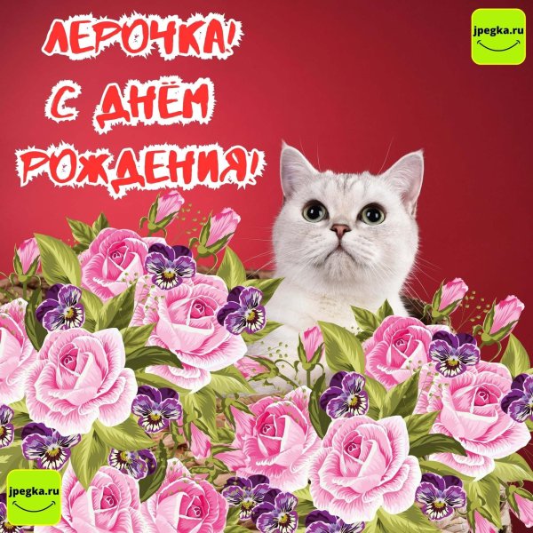 котик поздравляет с днем рождения