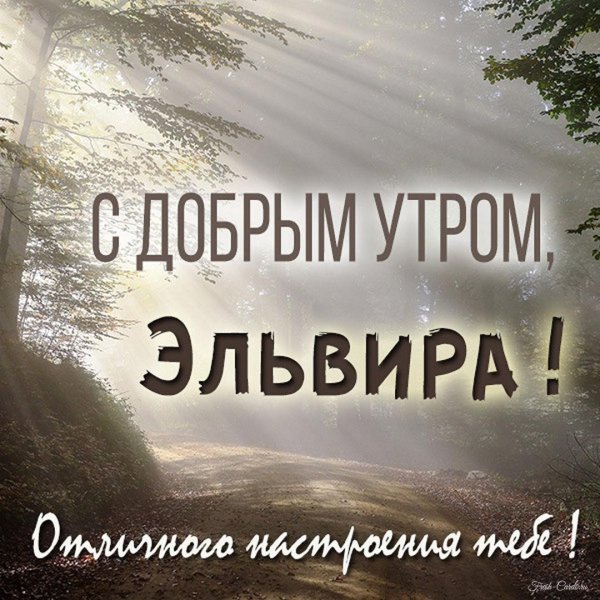 поздравление с днем рождения эльвира