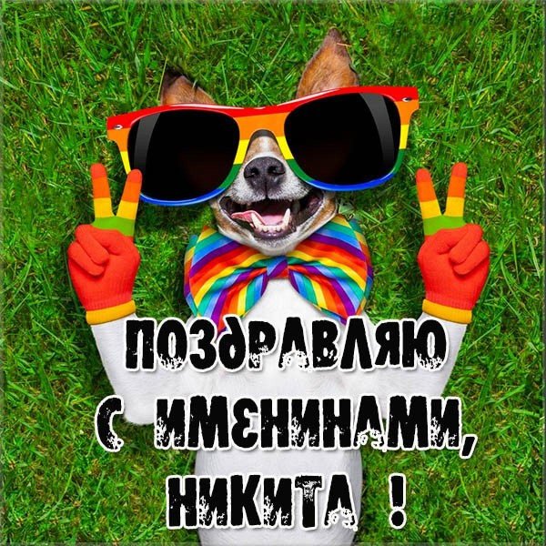 гикита с днём рождения