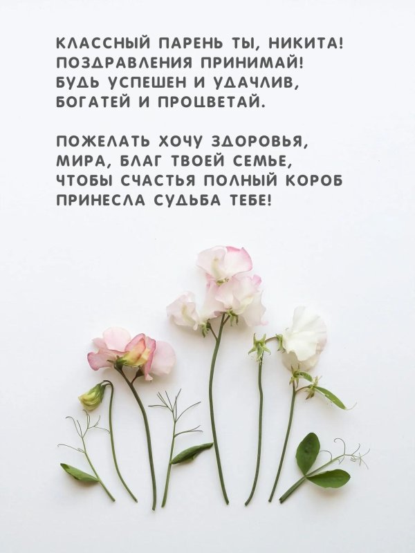 минимализм цветы