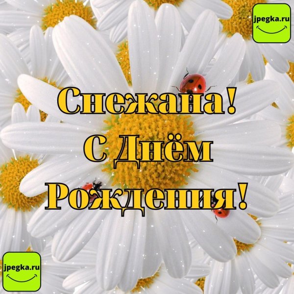 с днём рождения снежана открытки поздравления