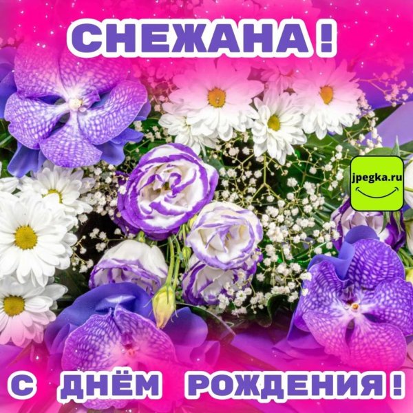 поздравление с днём рождения снежана