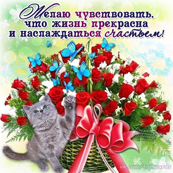 красивое поздравление