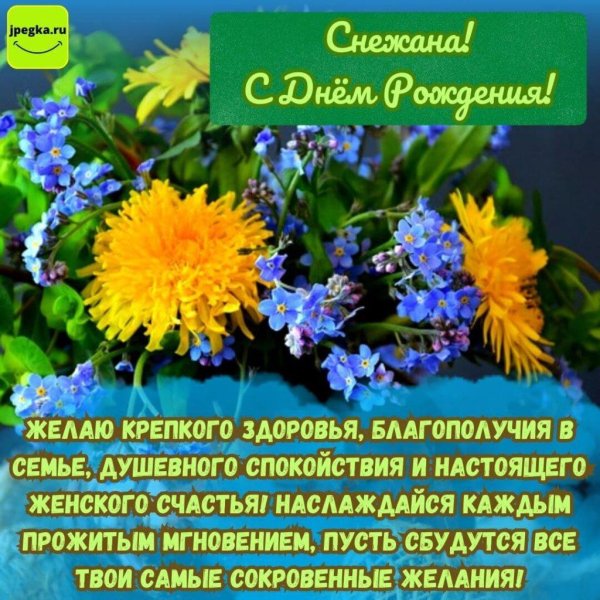 поздравление с днём рождения снежана