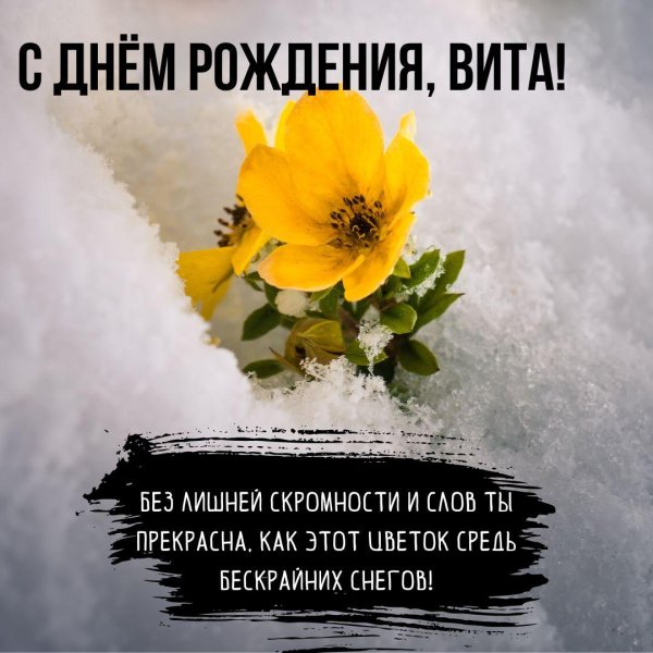 эрантис весенник