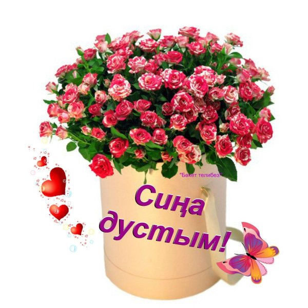 кустовая роза