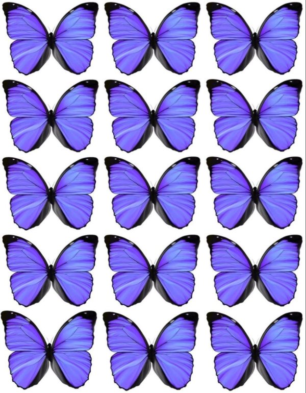 бабочки фиолетовые для печати