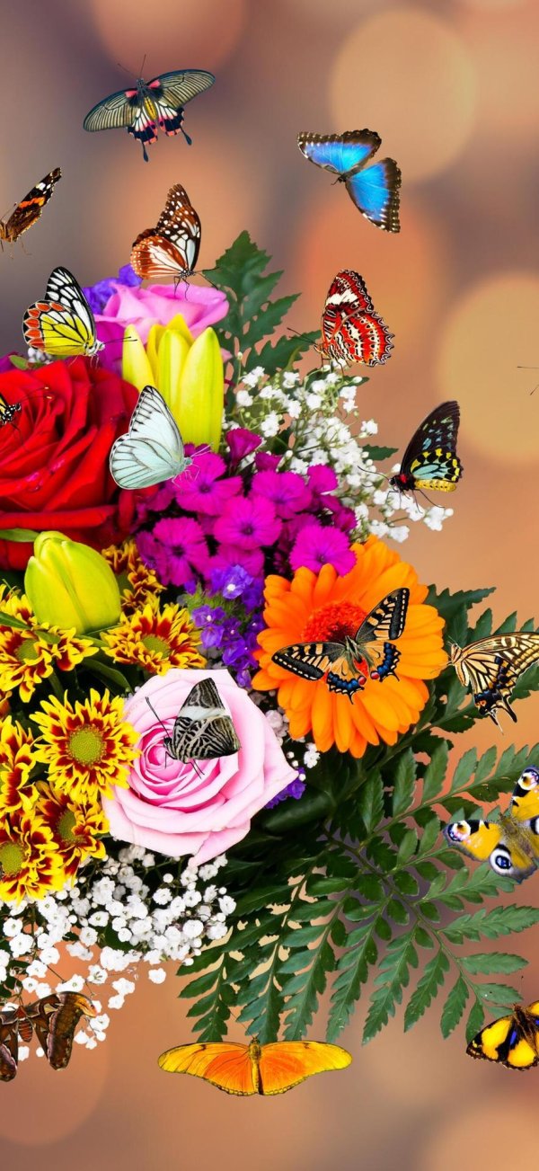 бабочка цветок