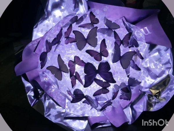 букет бабочки с подсветкой