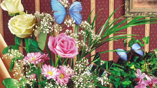 цветок бабочка