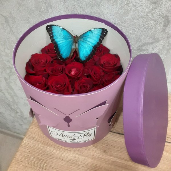 бабочки в коробке