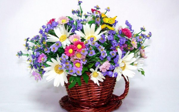 композиция ромашки