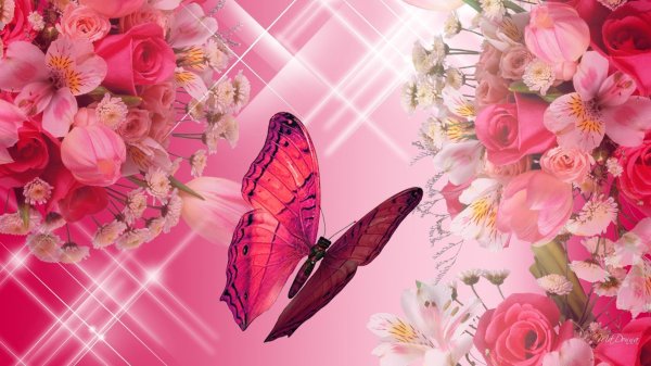 красивые фоны для открыток