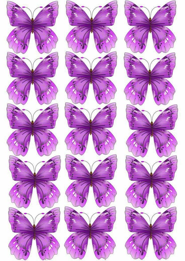 фиолетовые бабочки для печати